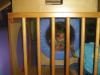 March 2009 069.jpg